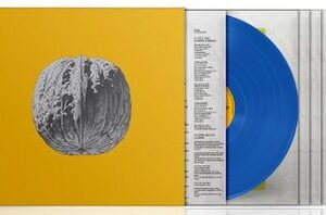 BRUNORI SAS L'LBERO DELLE NOCI